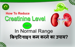 How To reduce Creatinine Level In Normal Range - 100% क्रिएट
